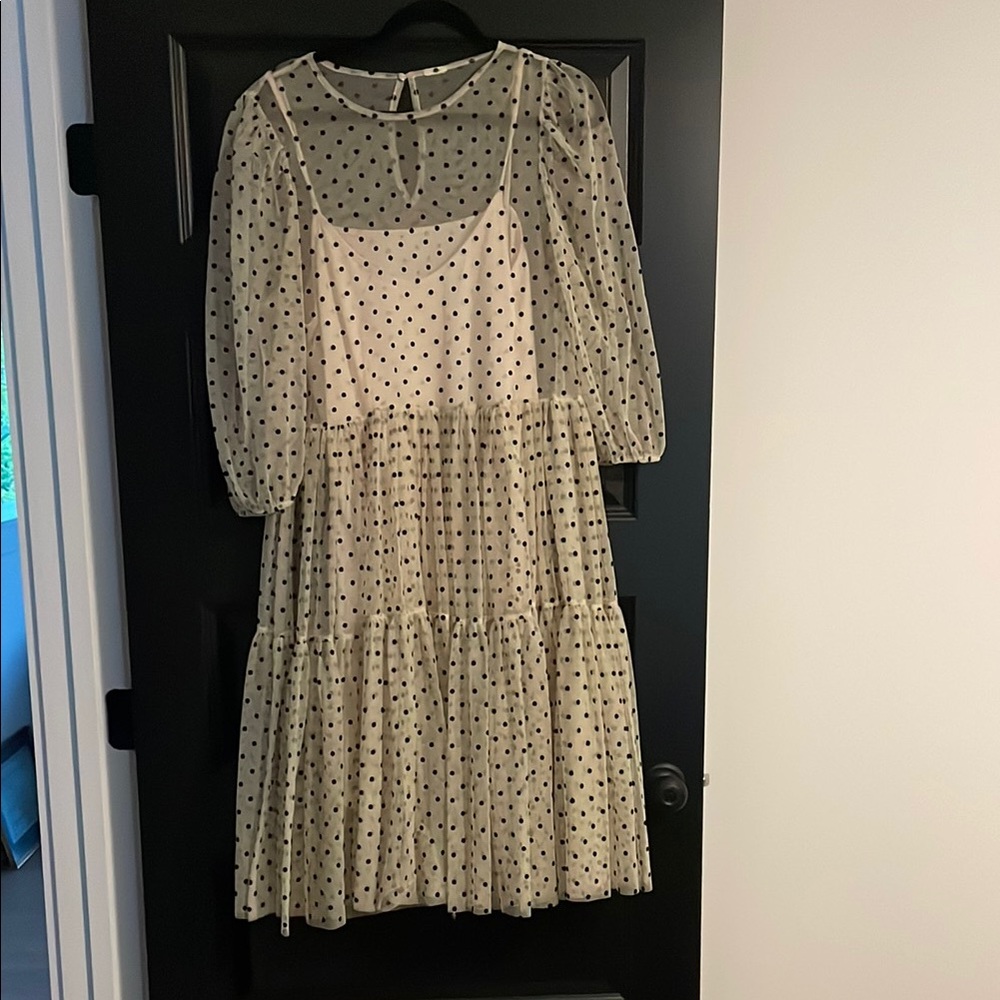 H&M Polka Dot Sheer Sleeve Dress